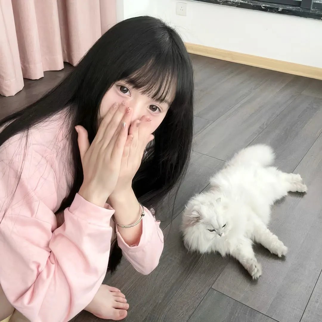 边境法规