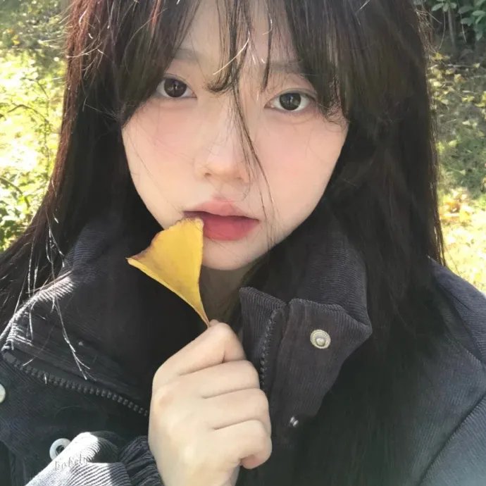 伯德小姐